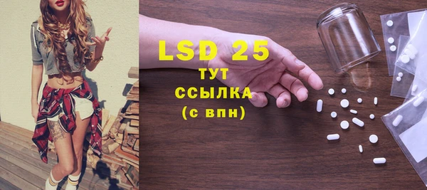 PSILOCYBIN Покачи